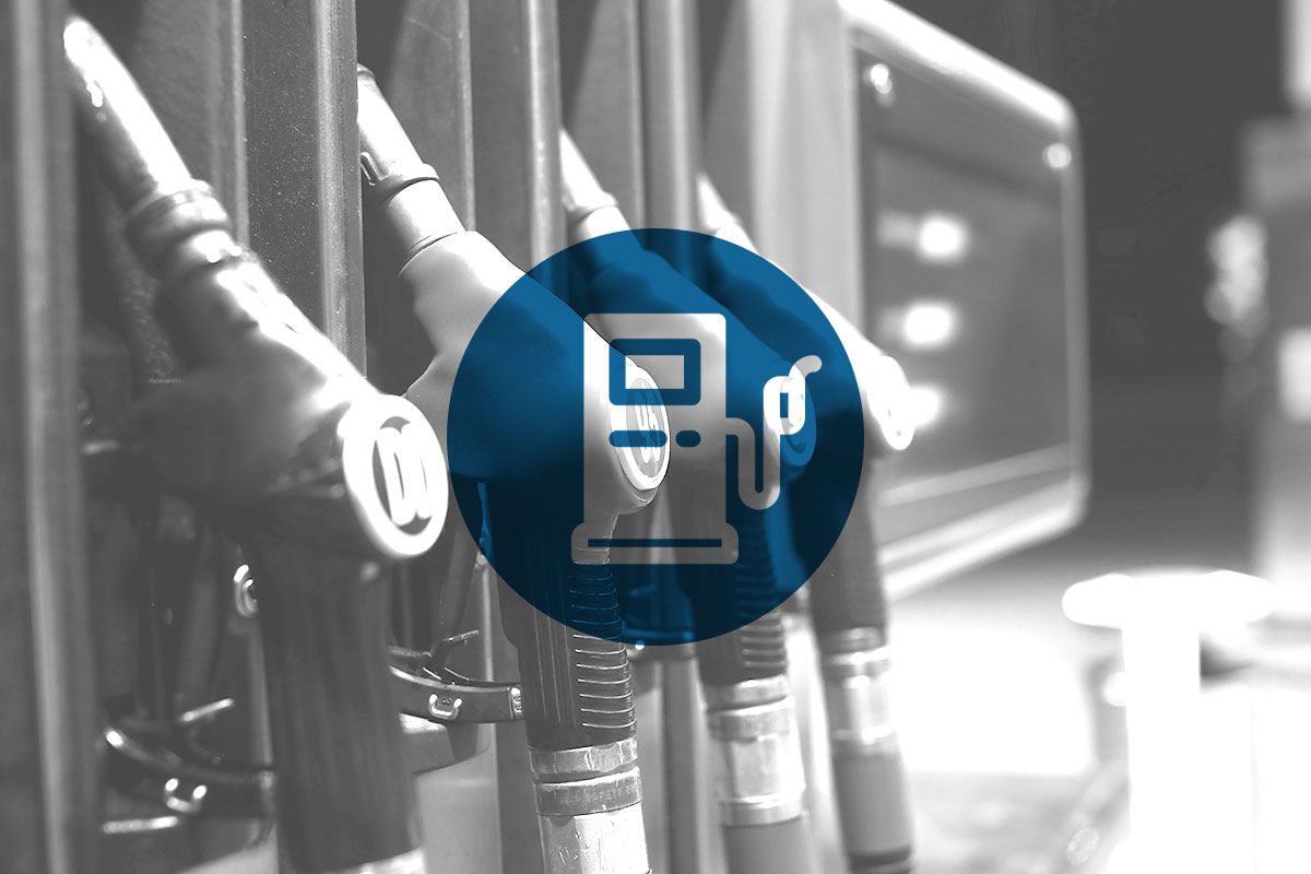 Palma De Mallorca Vector Map. Eps Illustrator Map | Vector Maps